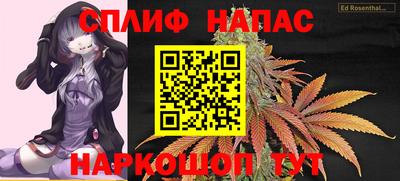 спиды Пугачёв