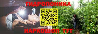 гашик Пушкино