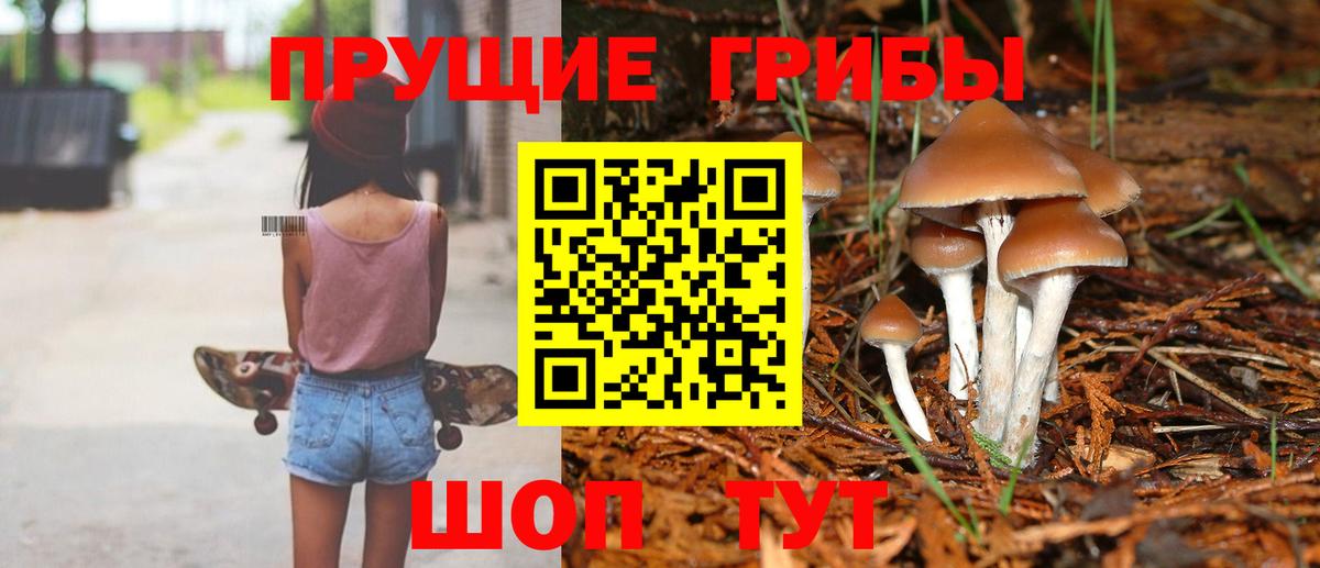 Галлюциногенные грибы Cubensis Приморско-Ахтарск