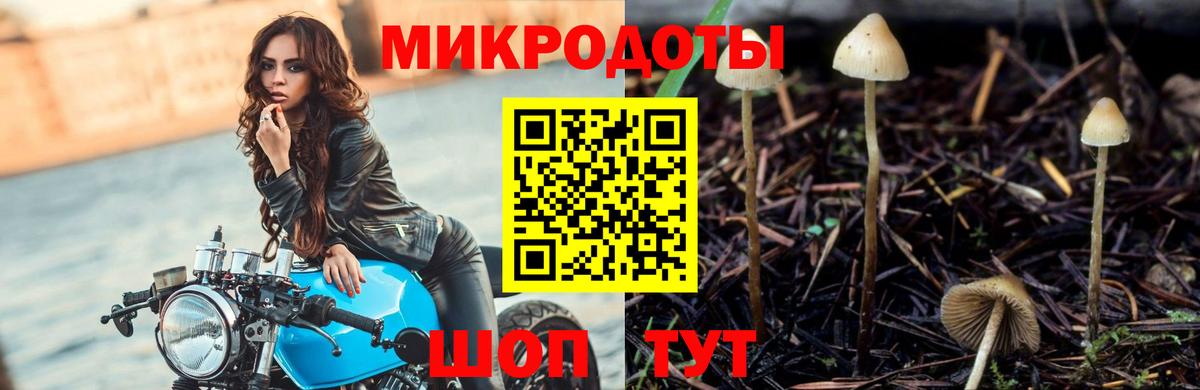 Псилоцибиновые грибы Cubensis  Вход с VPN  Приморско-Ахтарск  Галлюциногенные грибы мухоморы 
